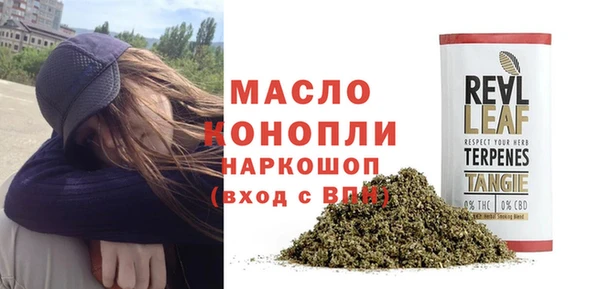 стаф Осинники