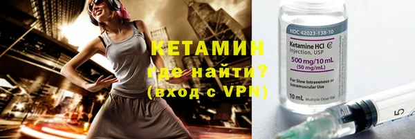 стаф Осинники