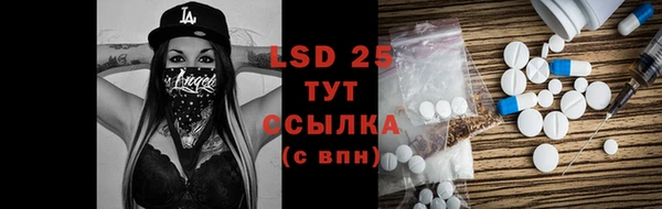 стаф Осинники