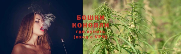 стаф Осинники