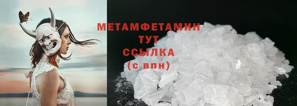 стаф Осинники