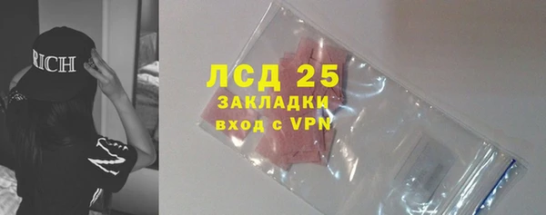 стаф Осинники