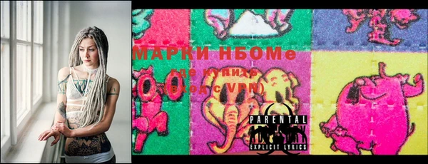 стаф Осинники