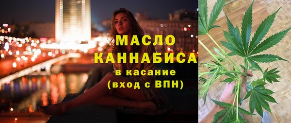 стаф Осинники