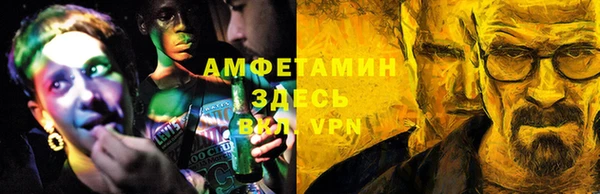 стаф Осинники