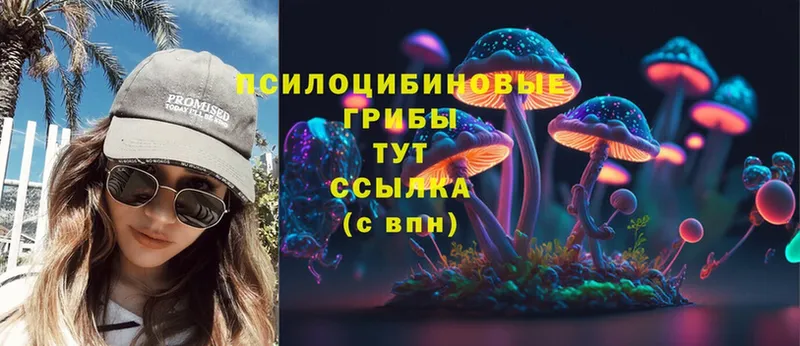 где найти наркотики  Каневская  Галлюциногенные грибы Cubensis 